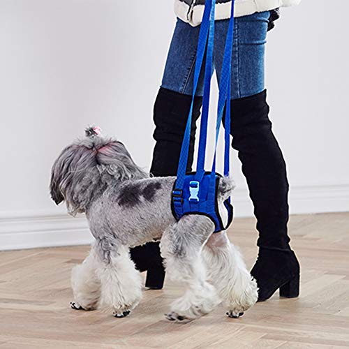 Supporto per cani da compagnia per il sollevamento...