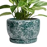 SQOWL 8 Inch Plant Pot - Ceramic Planter for Indoor...