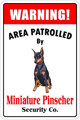 ~j`AsV[mxeBhbOTCpg[xGAAJ CeAG݂ G݃oCNpK[WuLŔa g G݃LOTCYF200 mmx 300 mm