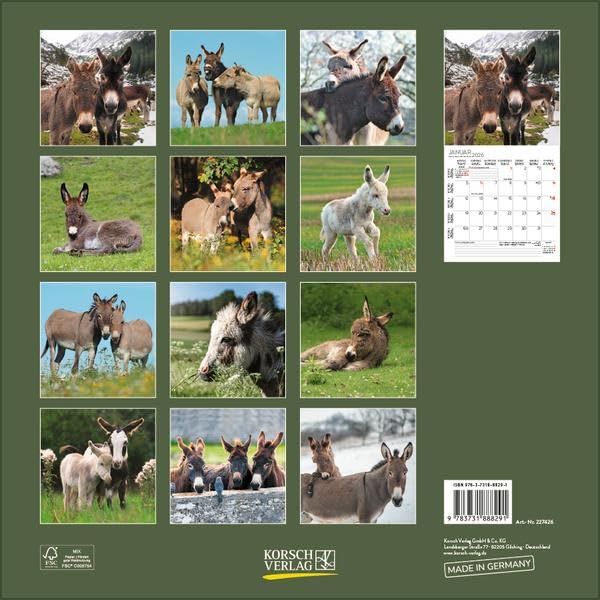 Esel 2026: Broschürenkalender mit Ferienterminen und Bildern von süßen Eseln. 30 x 30 cm