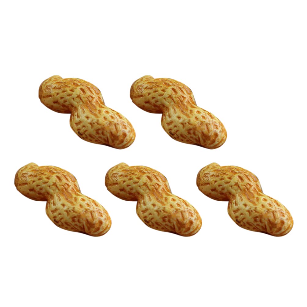 ibasenice 5pcs Simulated Fake Dried Fruit Flower Fake Dried Fruits Scene Adornment Educational Peanut Prop Fake Peanut Model Shop Displaying Prop Photography Prop Simulation Peanut Ornament