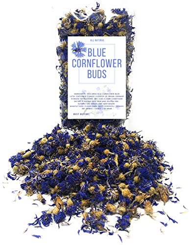 Cornflowers (Centaurea cyanus)