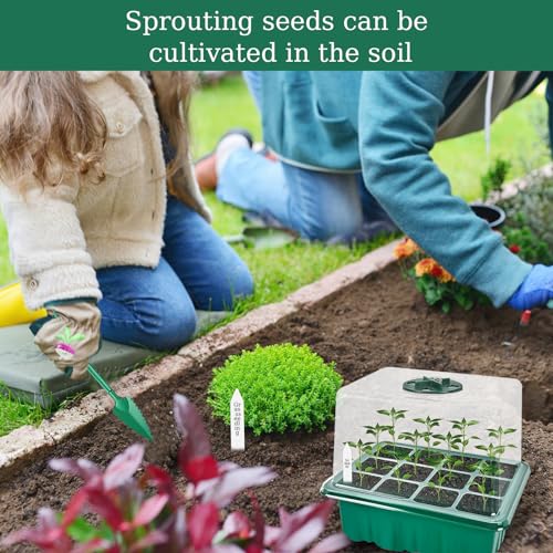 ZITUZY Zimmergewächshaus Anzuchtkasten mit Pflanzenlampe, 5 Stück Mini Gewächshaus Anzucht Set, Tabletts Treibhaus Anzuchtschale für Pflanze,10 Etiketten, 2 Werkzeuge, mit erhöht Deckel