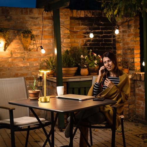Fdidc T-106 GOLD Led Rechargeable Cordless Table Lamp, Battery Operated Stepless Dimming Modern Portable Outdoor Table Light thumb #5