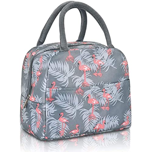 ASPENX Bolsa de viaje aislada para almuerzo/Tiffin/almacenamiento para oficina, universidad y escuela, poliéster, tamaño regular (multicolor) (multidiseño)
