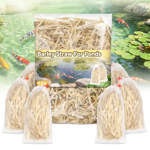 MAQIHAN Barley Straw for Ponds Pond Media for Outdoor Fish Pond & Koi Pond Natural Pond Filtration Accessory Supports Water Balance for Garden Ponds & Water Features 10 Mesh Filter Bags Included