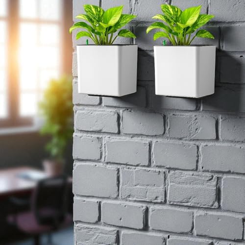 Image of Indian Discovery Self Watering Wall Hanging Planter|Hanging /Hooked Flower Pots for Home, Balcony, Vertical Garden Decor Flower Pots(2 PC, White, Square) |6 Inch UV-Resistant Plastic Plant Pots