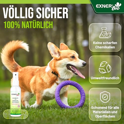 Exner Bio Geruchsentferner & Fleckenentferner - Mit Mikroorganismen gegen Flecken und Gerüche - für Haustiere, Haushalt und Ihr Auto, 100% natürlich & schonend - 100 ml Sprühflasche