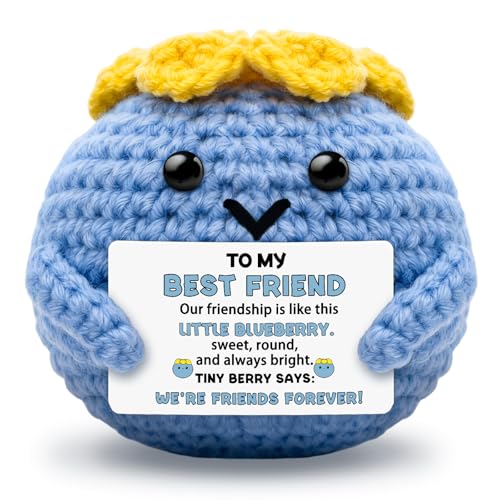 Juxrytyix Best Friend Birthday Gifts for Women, Positive Crochet Blueberry,