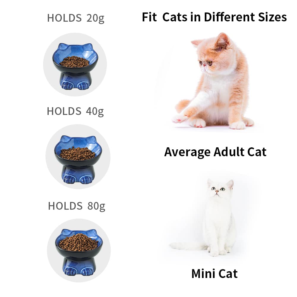 Buy Nihow Slanted Elevated Cat Bowls 5 Inch Ceramic Raised Cat Food