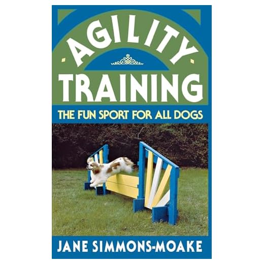 Agility Training: The Fun Sport for All Dogs
