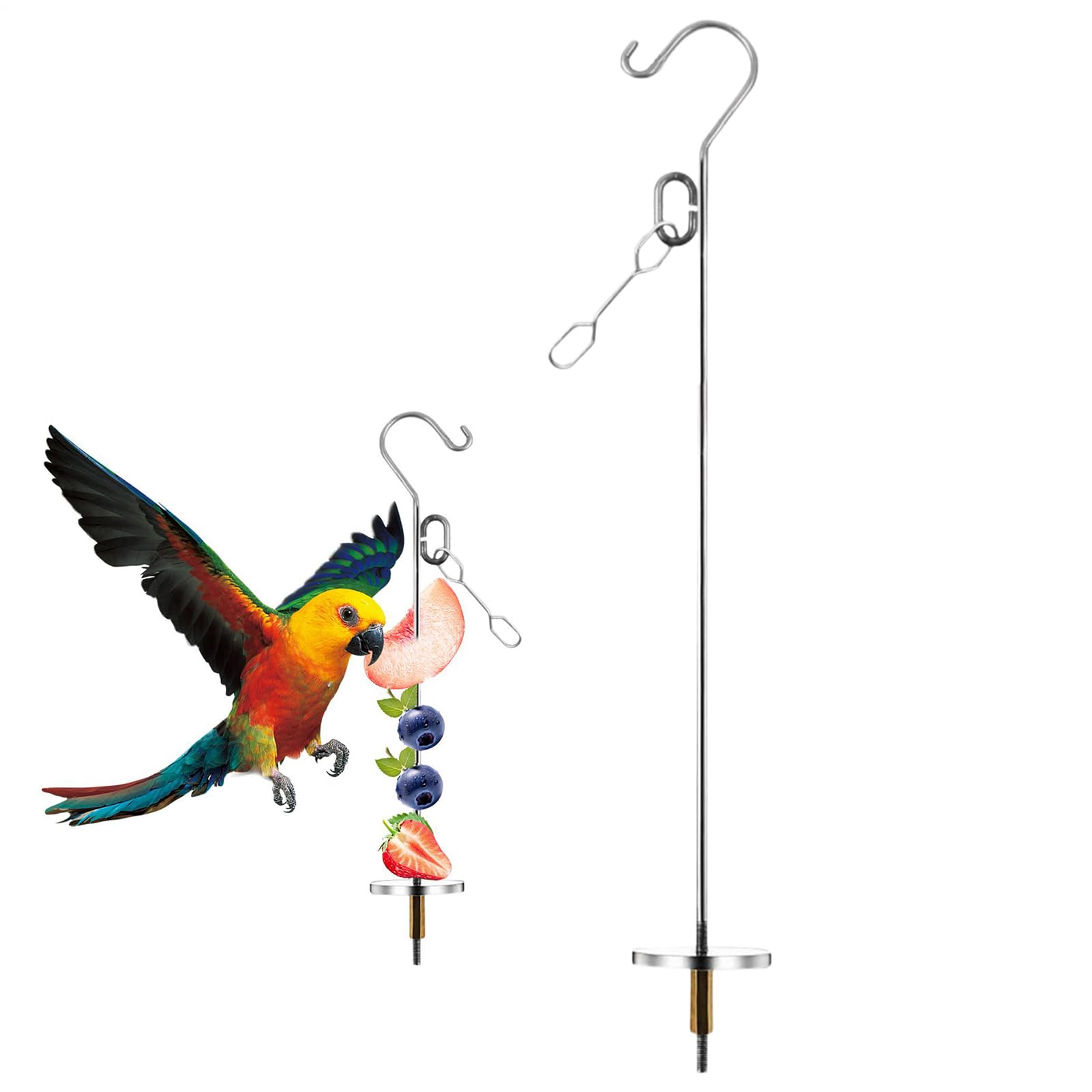 Bird Food Holder Enrichment Foraging Toy Small Medium Large Breeds