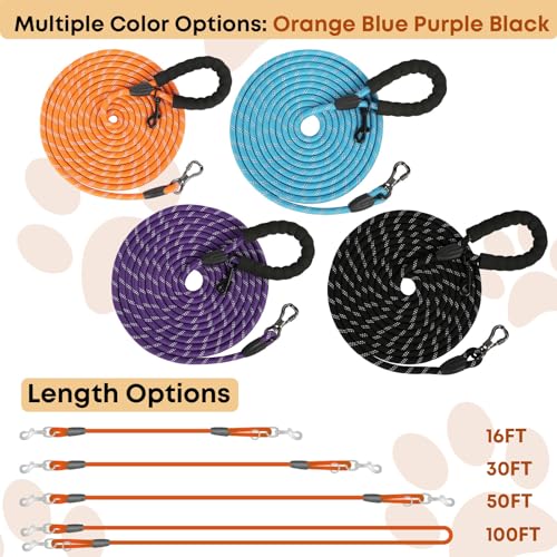 Different Lengths of Dog Leash