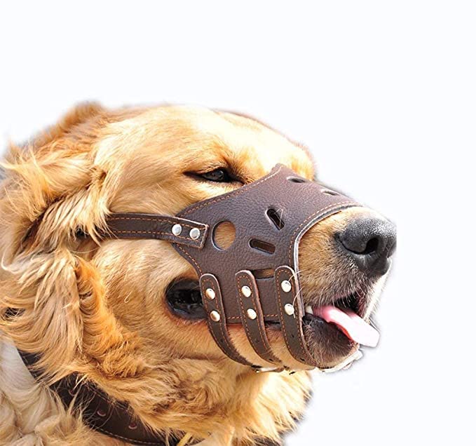 See full amazon price history chart for Shirlip Pets Dog Muzzles Breathable Safety Mask for Biting and Barking, Black (Small Size) Shirlip Pets Dog Muzzles Breathable Safety Mask for Biting and Barking, Black (Small Size) (B0BLHJTFHN) Amazon Price History, Amazon Price Tracker