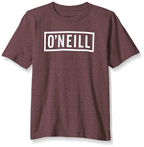 O'Neill Boys' Block T Shirt