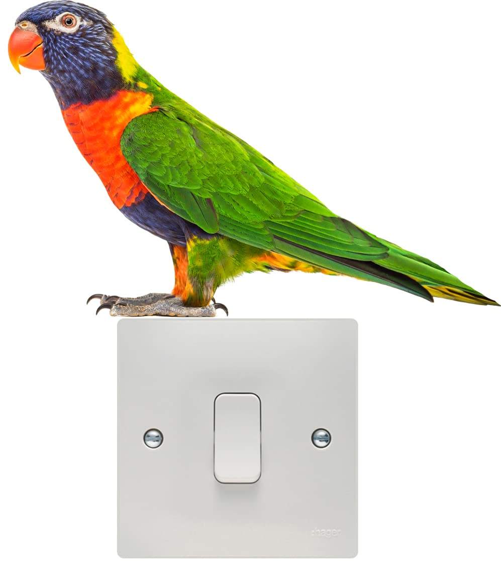 Hodge Creations Light Parrot Switch Wall Art Vinyl Stickers