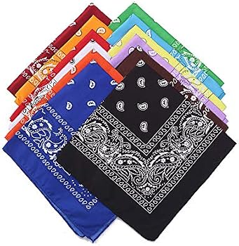 Bandanas Paisley, Bandana Homme Femme, Bandana Cheveux Multifonction, Lot de 3 55x55cm Foulard Carré, Nylon Bandana, Mouchoir Rétro Foulard de Tête Bandeau, Bandeaux de Cyclisme pour Hommes et Femmes Bandanas Paisley, Bandana Homme Femme, Bandana Cheveux Multifonction, Lot de 3 55x55cm Foulard Carré, Nylon Bandana, Mouchoir Rétro Foulard de Tête Bandeau, Bandeaux de Cyclisme pour Hommes et Femmes