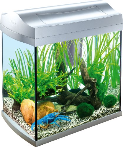 Tetra Aquarium AquaArt Anthracite Poissons eau douce tropicale/Poissons eau froide Noir, 30L