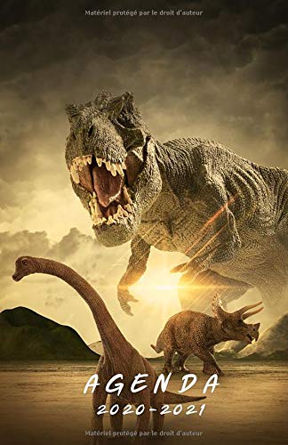 Télécharger Agenda 2020 2021: Agenda scolaire journalier sur le thème des Dinosaures | Format de poche PDF