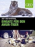  Einsatz für den Amur-Tiger
