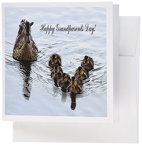 3Drose Duck Formation, Grandparents Day - Greeting Cards, 6 X 6 Inches, Set Of 6 (Gc_55081_1) #TOP11