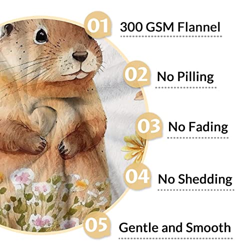 Groundhog Throw Blanket - Soft, Fuzzy & Warm - 50x60 Inches Flannel Blankets for Living Room, Sofa - Beige Cute Throws Gift for Teens