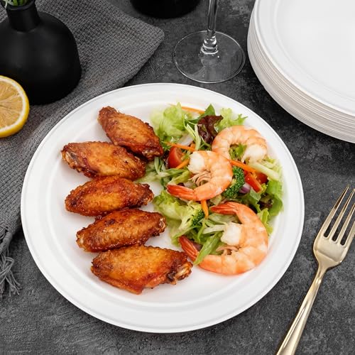 DaYammi 100% Compostable Paper Plates 9 Inch, 60-Pack Heavy Duty Paper Plates Bulk,Biodegradable Bagasse,Eco-Friendly Disposable Dinner Plate for BBQ,Picnic,Party (BPI Certified,Microwaveable)