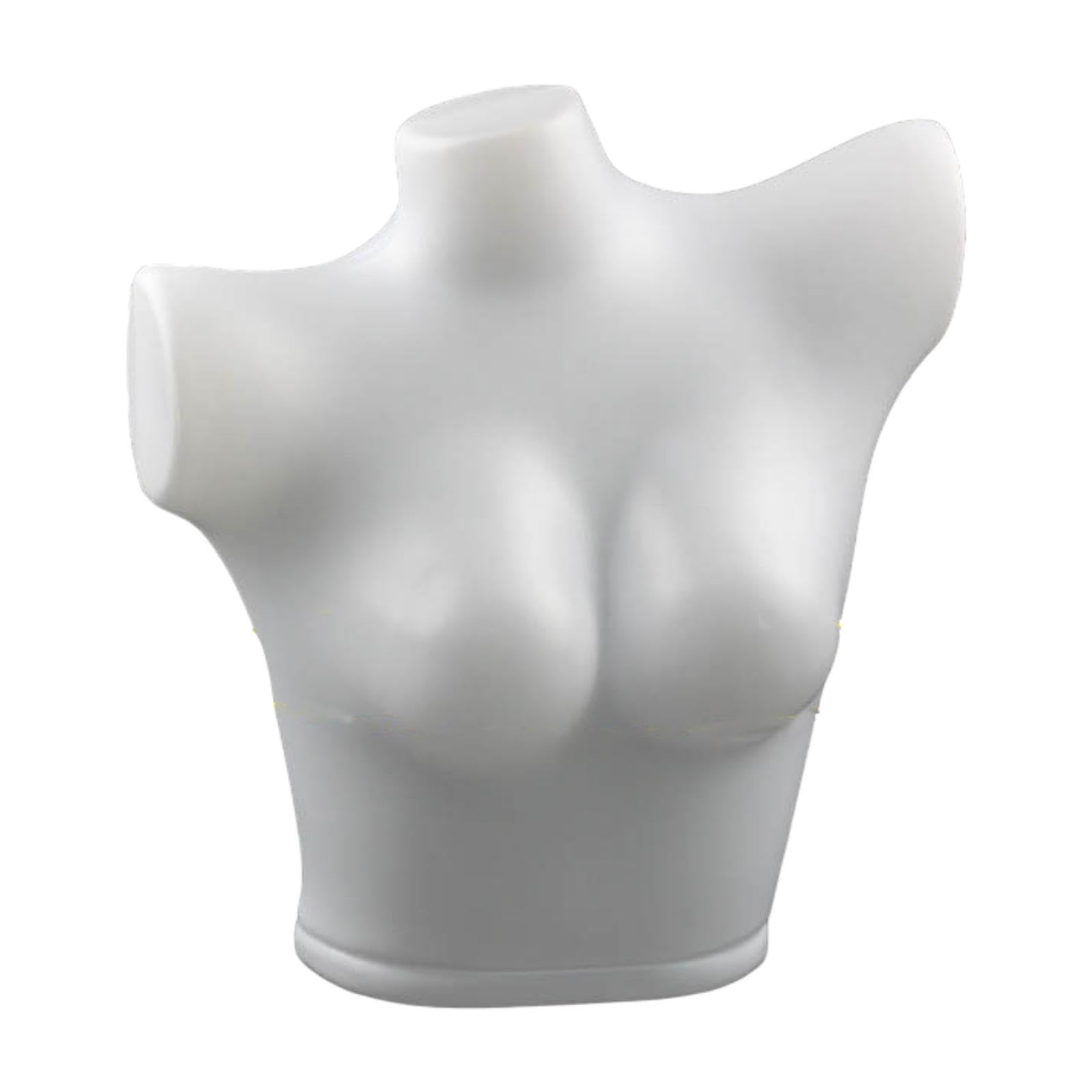 TWISAXC Unique Torso Display Mannequin For Lingerie Showcasing Holistically Designed To Attract Viewers In Retail Displays Effectively Female Mannequin Torso Bra Display