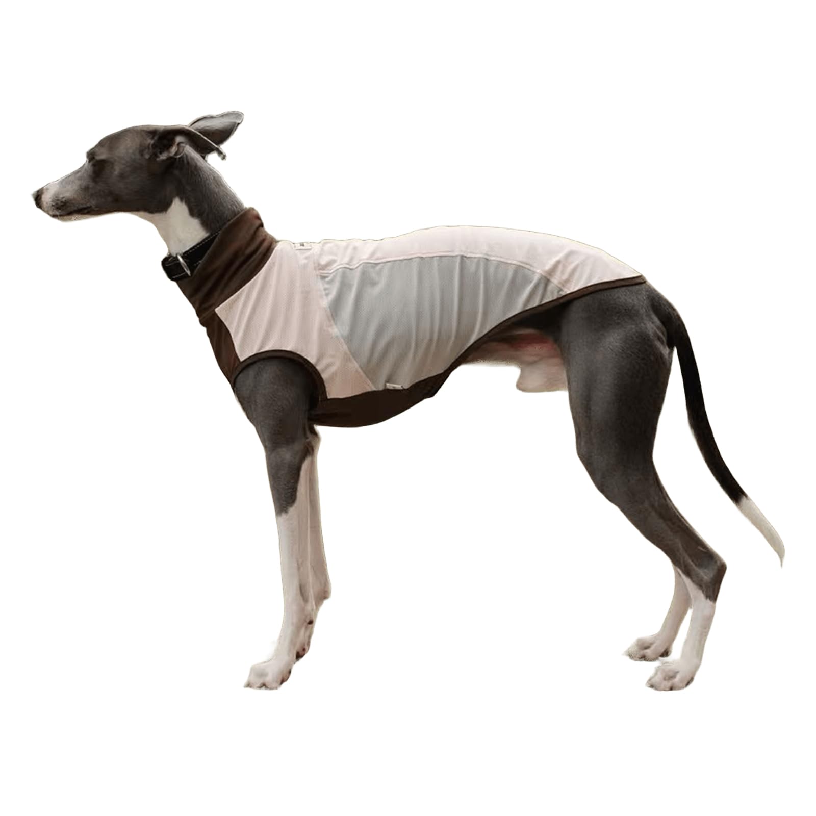 UOSIA Greyhound Dog Shirt UPF50＋ Sun Shirt UV Protection Quick-Dry Dog Cooling Vest Summer Lightweight Stretchy Pet Tank Top Whippet Clothes for Small Medium Breeds