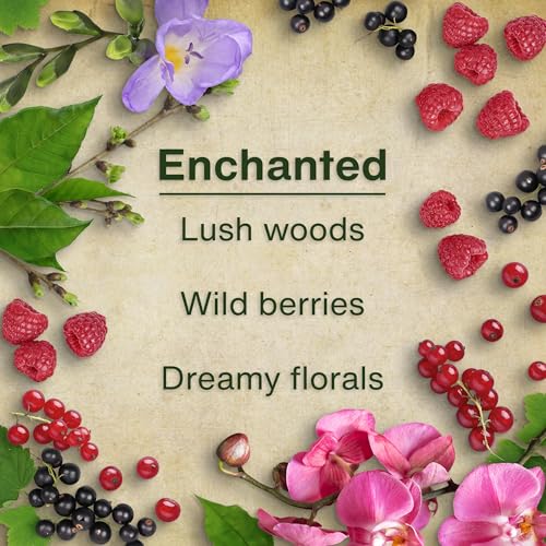 Image of LITTLE TREES Car Air Freshener | Hanging Tree Provides Long Lasting Scent for Auto and Home | Enchanted, 24 Air Fresheners