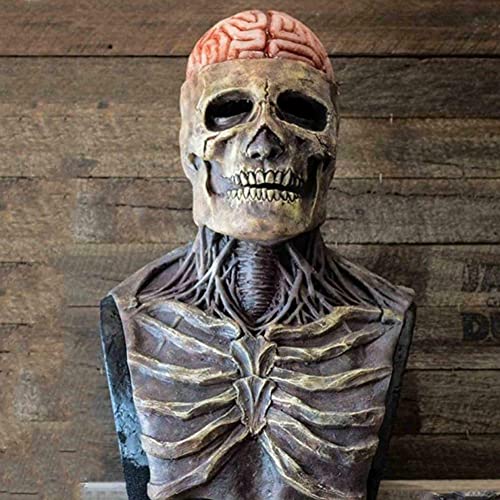 Halloween Skull Skeleton Full Face Cover Party Cosplay, Full Head Skull MaskCreepy Skeleton Mask, One Size (Skull Mask… - Image 3