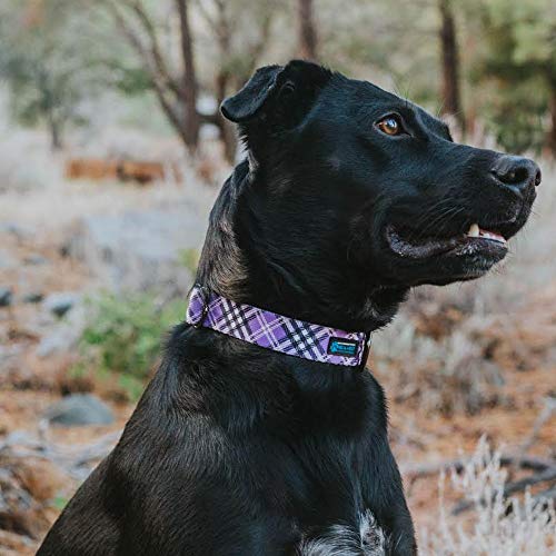 Image of Max and Neo Plaid Pattern NEO Dog Collar - We Donate a Collar to a Dog Rescue for Every Collar Sold (Purple, Small)