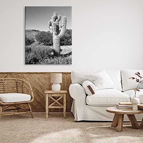 Image of Stupell Industries Thick Desert Cactus Black White Photography Canyon Landscape