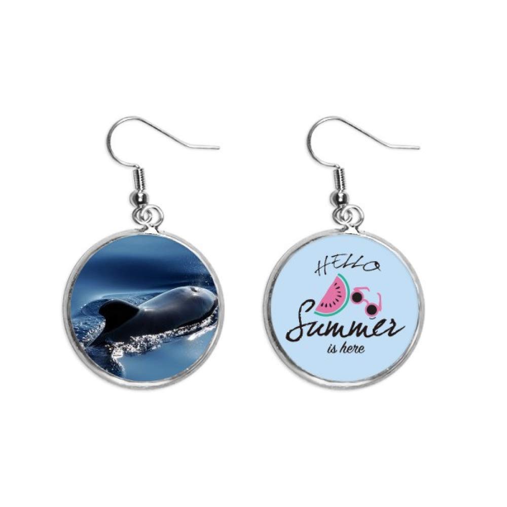 Pendientes de océano mar y naturaleza para regalar un detalle original de ballenas y sandías 5