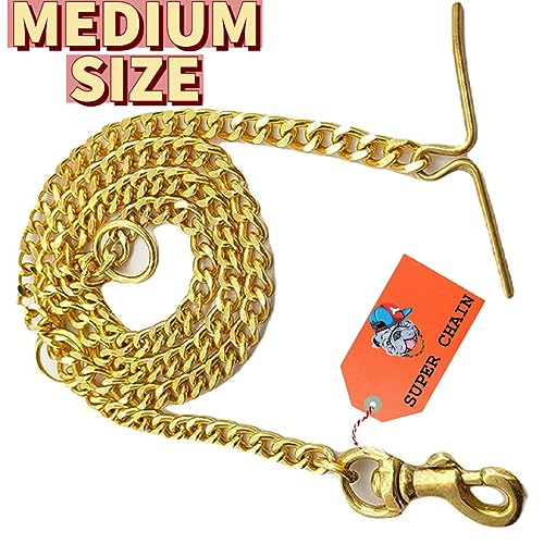 Image of Golden Heavy Weight Diamond Cut (Medium) Dog Gold Chain 160 cm (Golden)