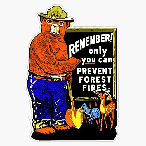 Official Smokey Bear 'Prevent Forest Fires' Embroidered Patch - New USFS Gift 2024