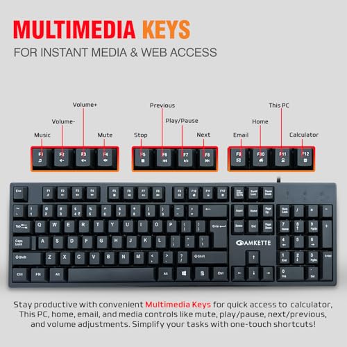 Image of Amkette Lexus Neo Keyboard for Laptops, PCs, and USB-Compatible Devices | UV-Coated, Long-Lasting, Anti-Fade Keys | Spill-Resistant Design | Multimedia Keys | Comfortable Typing (Black)