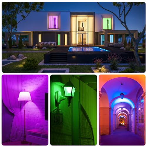 Reviews y listado de Foco morado tabla con los diez mejores. 14 Imagen adicional