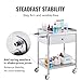 VEVOR Medical Trolley, Dual-Tier Stainless Steel Trolley with a 220 lbs Load Limit, Equipped with Quiet 360° Casters and a Drawer, Ideal for Laboratories, Clinics, Kitchens, and Salons