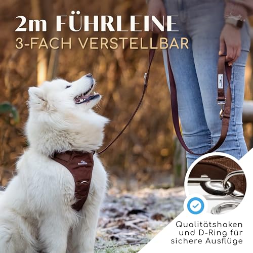 FREUDENTIER Hundeleine 2m – Verstellbare Führleine - Weich gepolstert, liegt angenehm in der Hand - Robuste Leine Hund für mittelgroße & große Hunde - Model Clyde (Braun, 20mm)