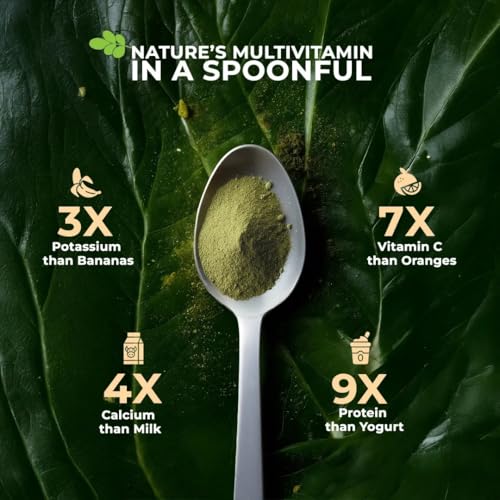 Image of Asmita Organic Farms Moringa Powder 100g | 100% Pure Drumstick Leaf Powder | Natural Multivitamin Superfood | Rich in Antioxidants & Nutrients | Immunity & Energy Booster | Ayurvedic Detox & Wellness