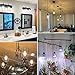 Kohree Metal Bulb Guard Lamp Cage, for Pendant Light, 32-42mm Lamp Base, Ceiling Fan Light Bulb Covers Vintage Open Style Industrial Grade Adjustable 4 Packs(Cage ONLY)