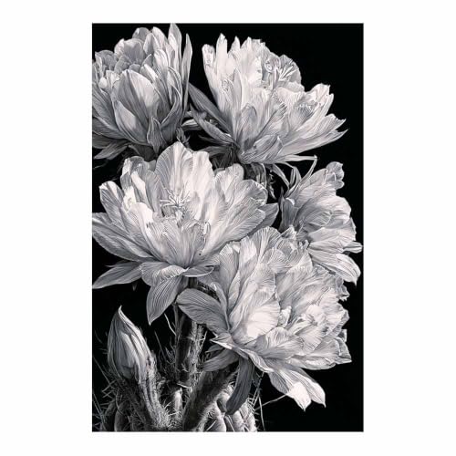 Affiche Fleurs de Nuit Cactus XENIOU pour Transformer l'Ambiance de Votre Salle de Bain