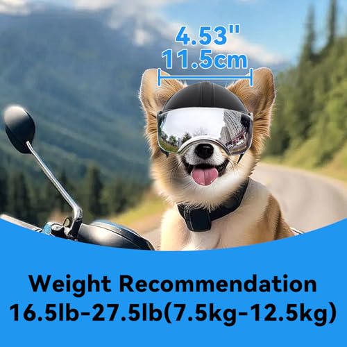Enjoying Hundehelm für Kleine Hunde, Hundehelm mit Sonnenbrillen, Hundehelme Hut mit Ohrlöchern, Motorrad Fahrrad Hundehelm für kleine bis mittlere Hunde, Verstellbar, Schwarz