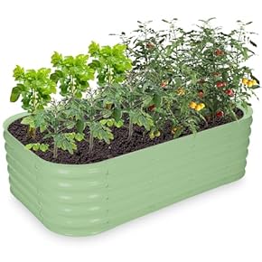 Amazon.co.jp: ボックス - 鉢・プランター用品: DIY・工具・ガーデン