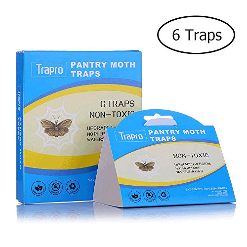 Top 10 Pantry Moth Traps Of 2020 Best Reviews Guide