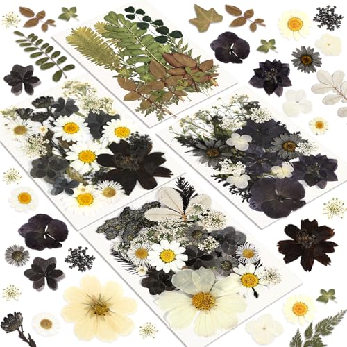 Image of Dried Flowers, Resiners 100Pcs Pressed Flowers for Craft Black Real Natural Dried Flowers Dry Leaves Kit for DIY Making Crafts Resin Soap Candle Scrapbook Supplies Card Making Jewelry