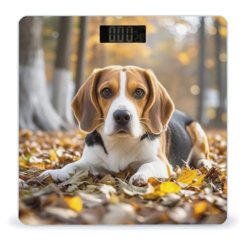 Báscula digital Cute Beagle para peso corporal miniatura 1