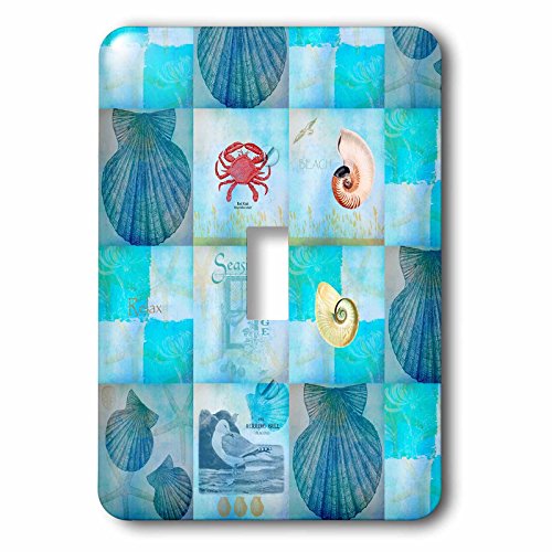 3dRose LLC lsp_79384_1 Aqua Beach Seashell Collage Art Single Toggle Switch