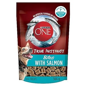 Purina ONE Dog Treats, True Instinct Bites Salmon – 566 g Pouch (1 Pack)